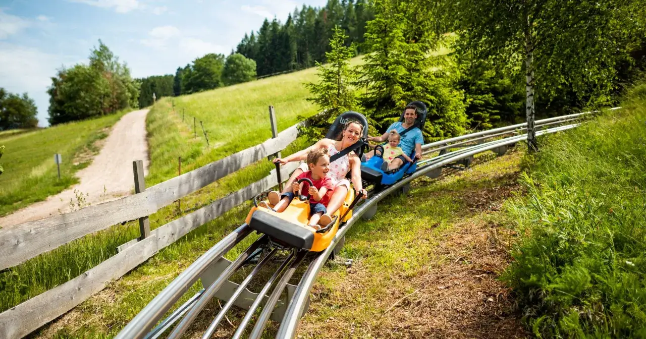 Familie auf Rodelbahn, ein perfekter tagesausflug sachsen. Kinder und Eltern genießen die Fahrt durch grüne Hügel.